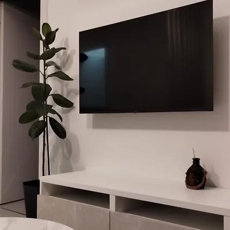 Lakeview Skyline With Free Parking Apartment *